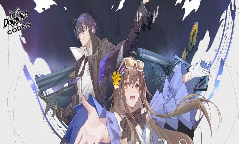 Dragon Raja ReRise Codes