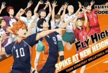 HAIKYU Fly High Codes