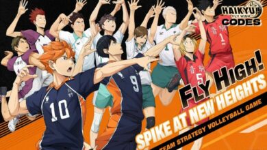 HAIKYU Fly High Codes