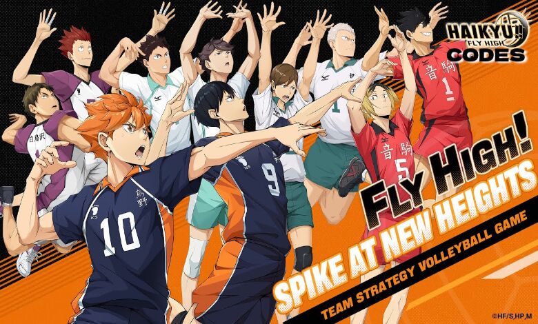 HAIKYU Fly High Codes
