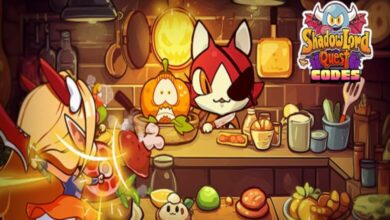 ShadowLord Quest Codes