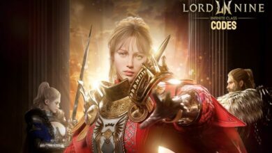 LORDNINE Infinite Class Codes