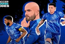 Soccer Dynasty Codes