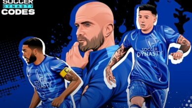 Soccer Dynasty Codes