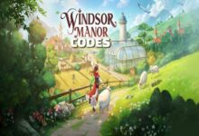 Windsor Manor Codes
