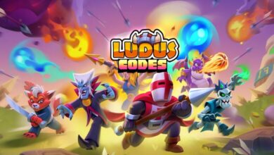 Ludus Codes