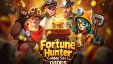 Fortune Hunter Codes