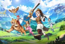 Ruler of the Land Codes