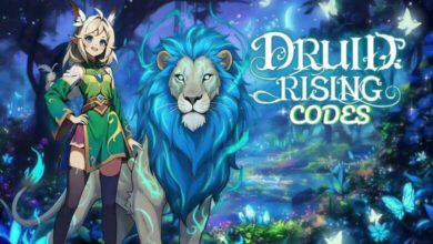 Druid Rising Codes