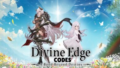 Divine Edge Codes