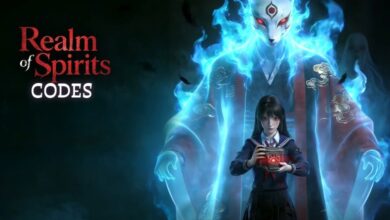 Realm of Spirits Codes